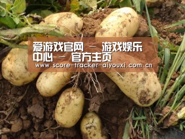 种植基地六