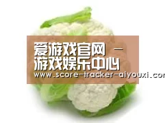 产品名称九